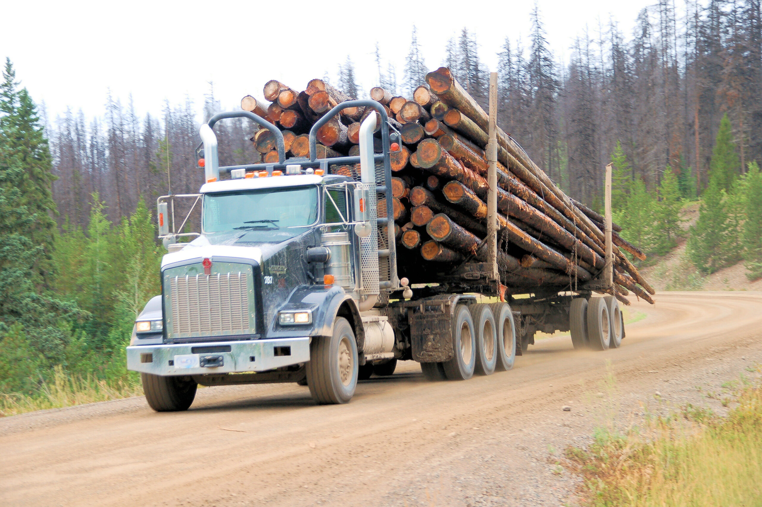 Hauling Pulpwood In British Columbia