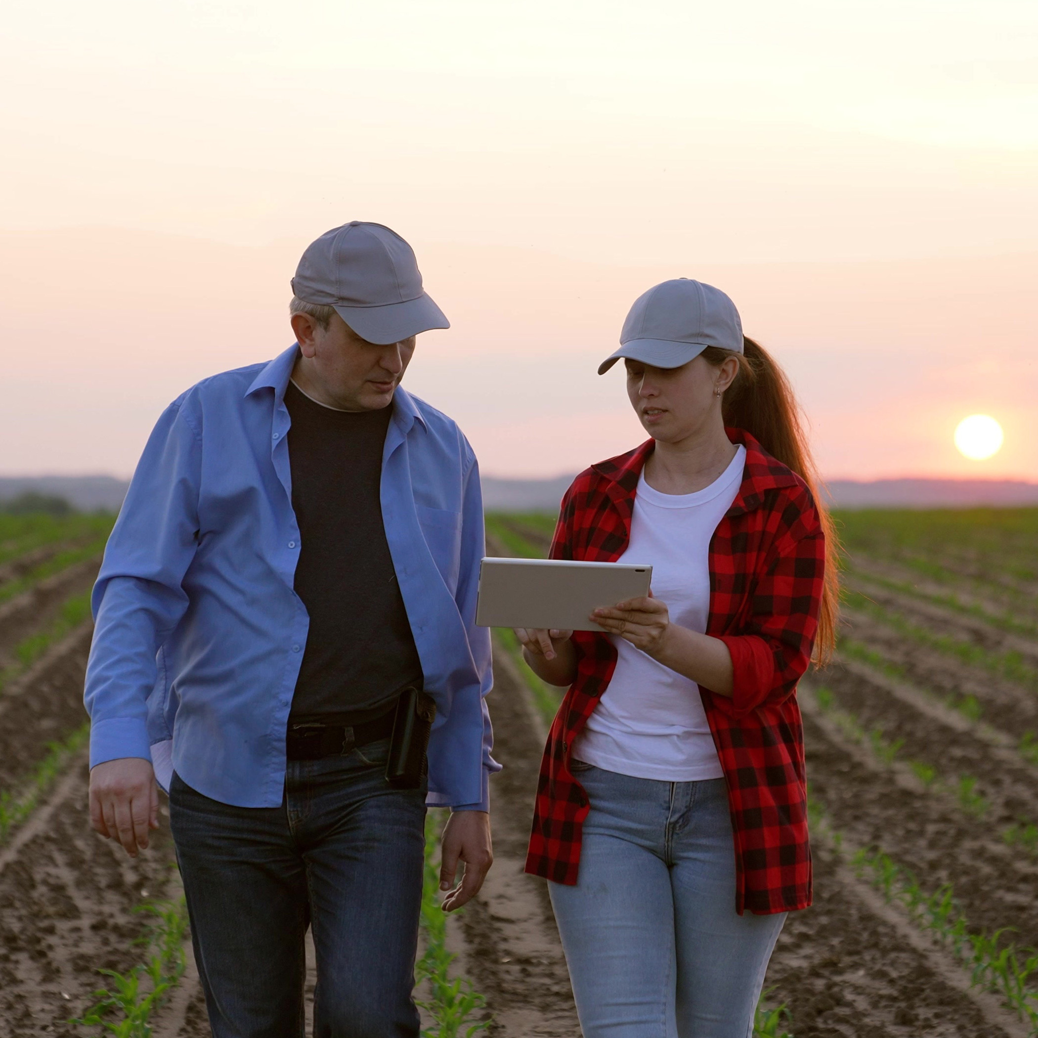 Two Farmers Work Field Handshakemachinery Road Insurance Wealth Digital Horizon Slow Pc Cereal View Garden Labor Sky Worker Inspect, Corporate Sunset, Work Tablet Agriculture, Hand Sun Farming Farm, Employee, Business Partners Deal,