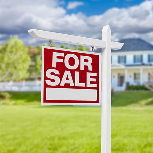 Pl Realtor