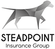 Steadpoint