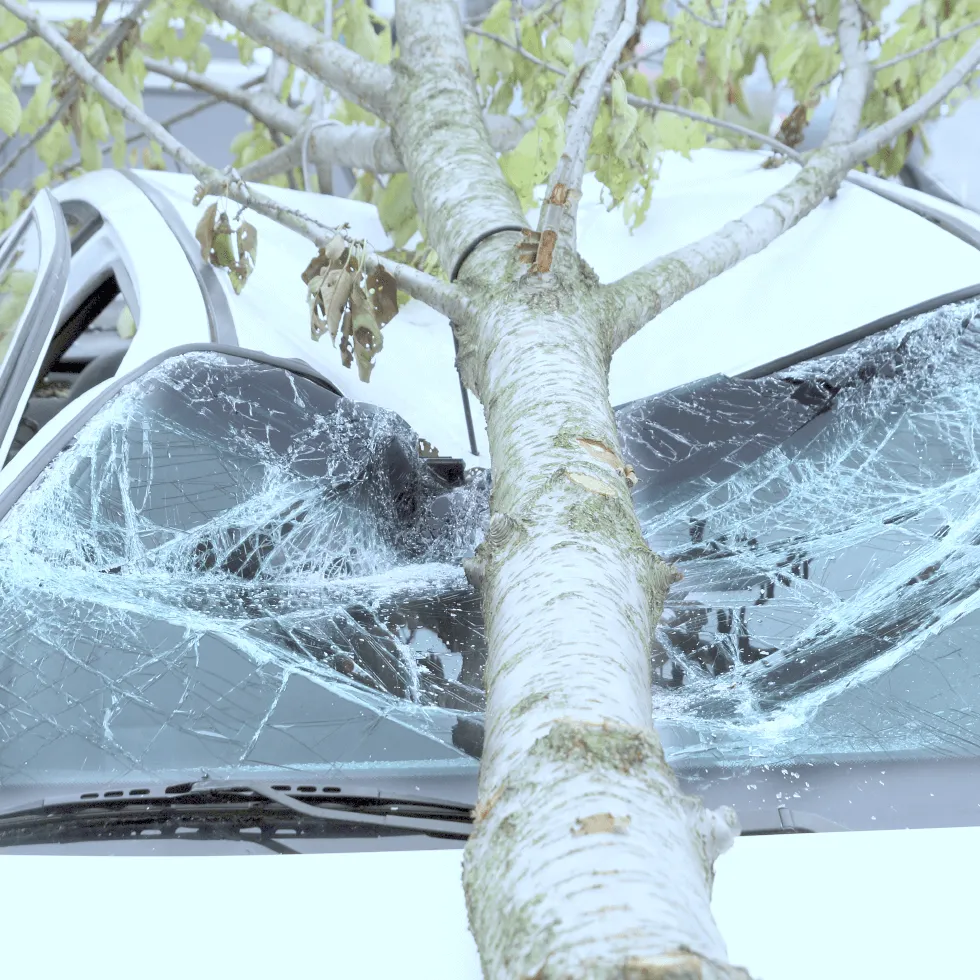 What Does Commercial Auto Insurance Cover Original