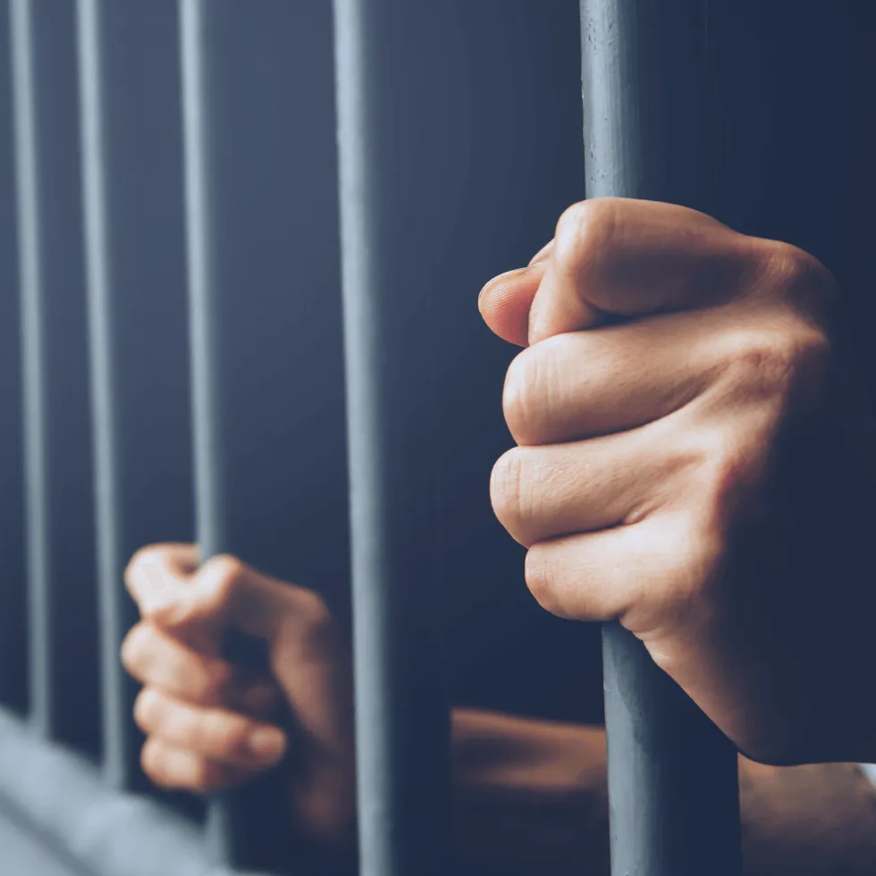 Wrongful Detention Original